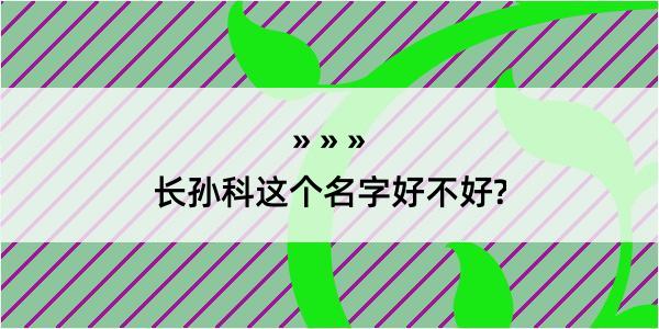 长孙科这个名字好不好?