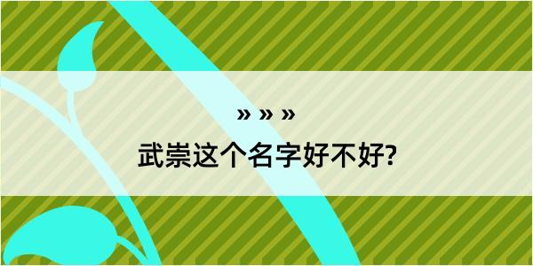 武崇这个名字好不好?