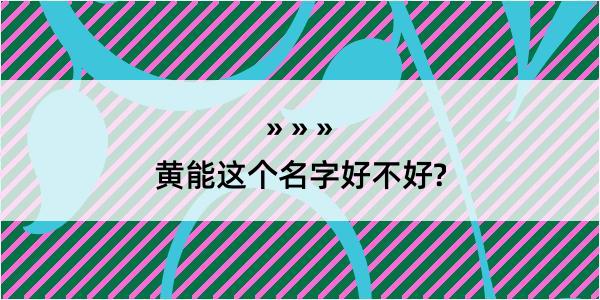 黄能这个名字好不好?