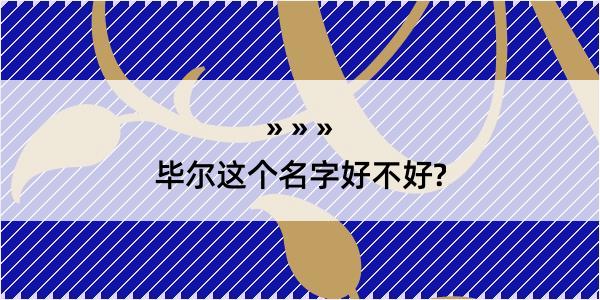 毕尔这个名字好不好?