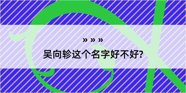 吴向轸这个名字好不好?