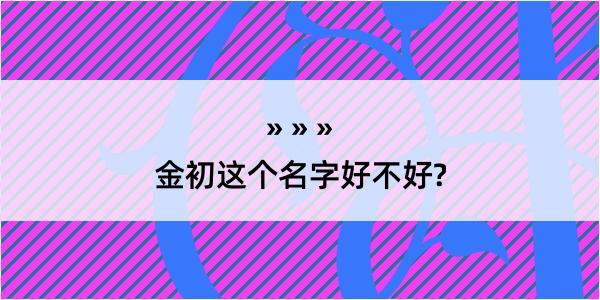 金初这个名字好不好?