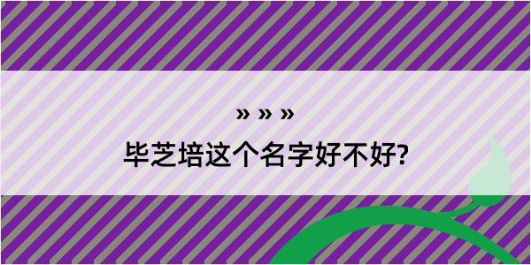 毕芝培这个名字好不好?