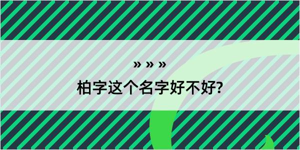 柏字这个名字好不好?