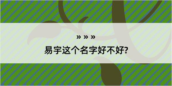 易宇这个名字好不好?