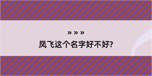 凤飞这个名字好不好?