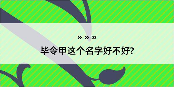 毕令甲这个名字好不好?