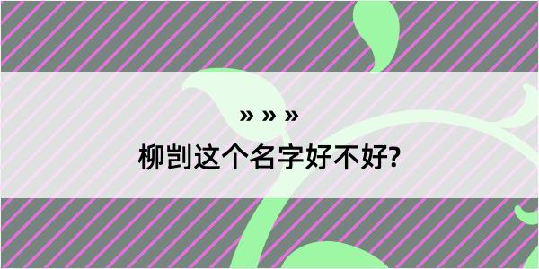 柳剀这个名字好不好?