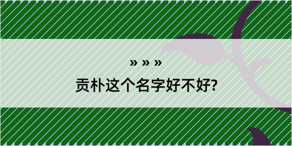 贡朴这个名字好不好?