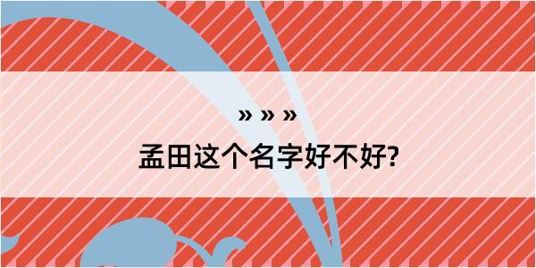 孟田这个名字好不好?