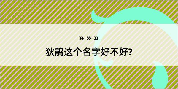 狄鹃这个名字好不好?