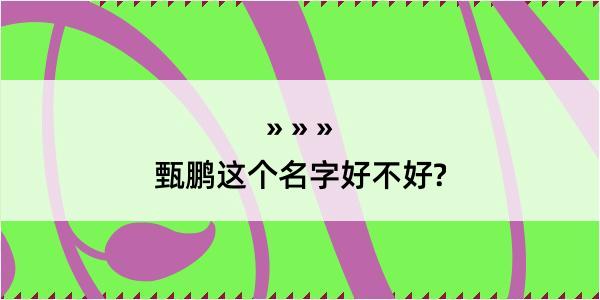 甄鹏这个名字好不好?