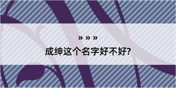 成绅这个名字好不好?