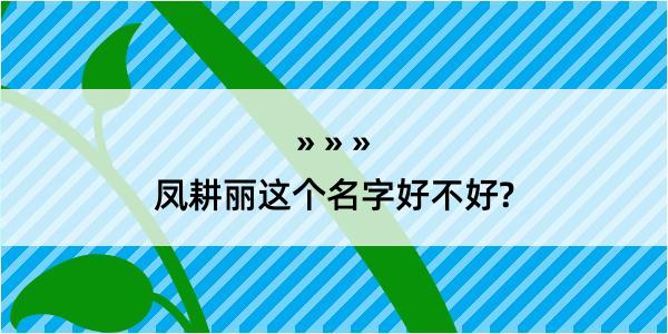 凤耕丽这个名字好不好?