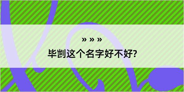 毕剀这个名字好不好?