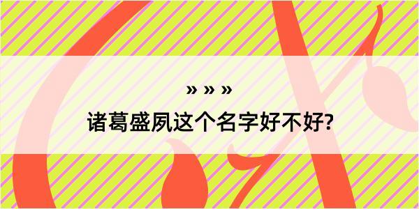 诸葛盛夙这个名字好不好?