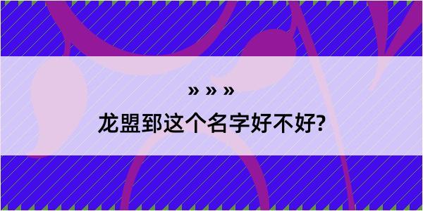 龙盟郅这个名字好不好?