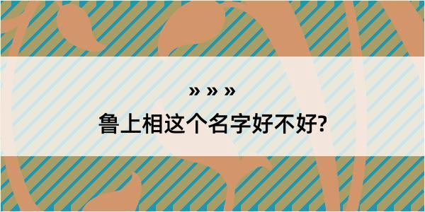 鲁上相这个名字好不好?