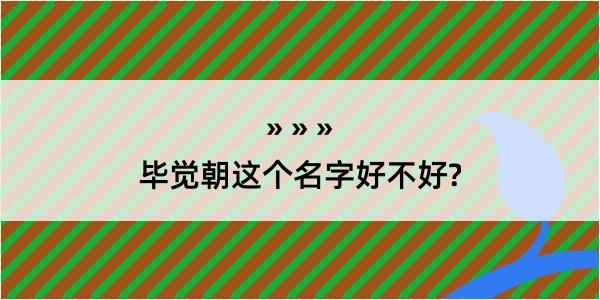 毕觉朝这个名字好不好?