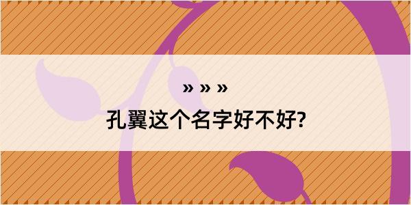 孔翼这个名字好不好?