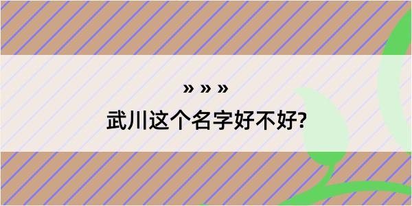 武川这个名字好不好?