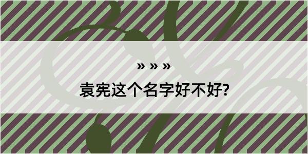 袁宪这个名字好不好?