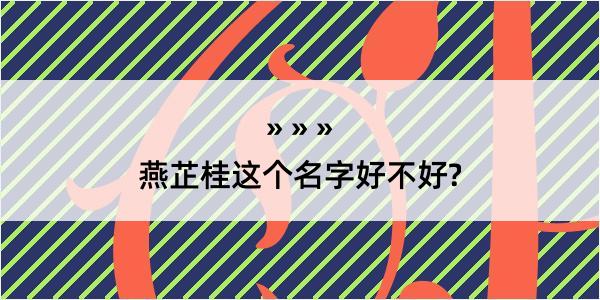 燕芷桂这个名字好不好?