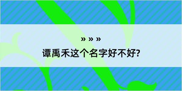 谭禹禾这个名字好不好?