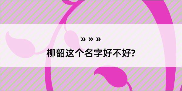 柳韶这个名字好不好?