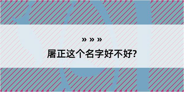 屠正这个名字好不好?