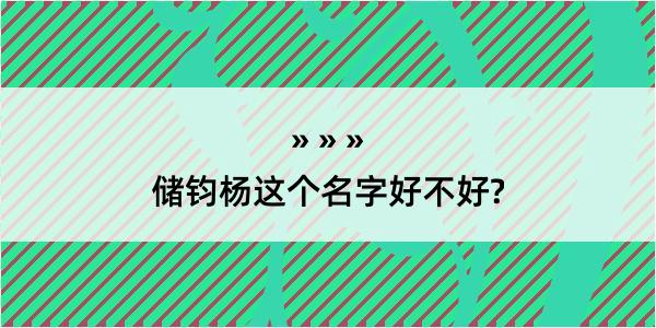 储钧杨这个名字好不好?