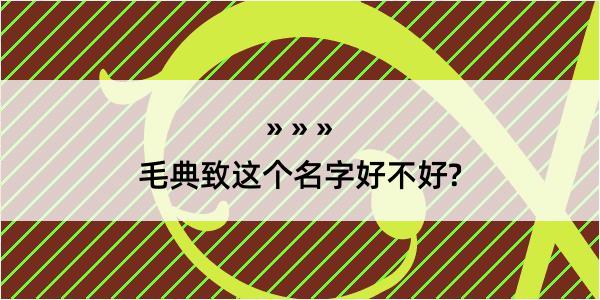 毛典致这个名字好不好?