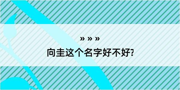 向圭这个名字好不好?