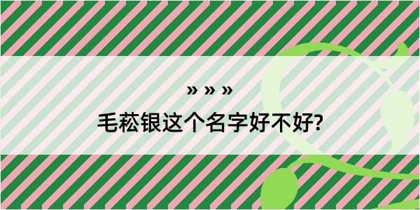 毛菘银这个名字好不好?