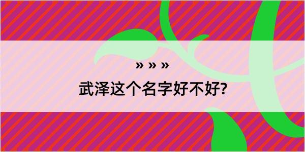 武泽这个名字好不好?