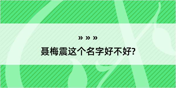 聂梅震这个名字好不好?