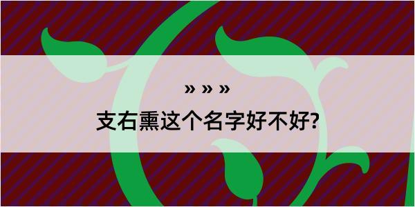 支右熏这个名字好不好?