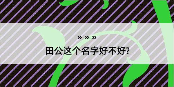 田公这个名字好不好?