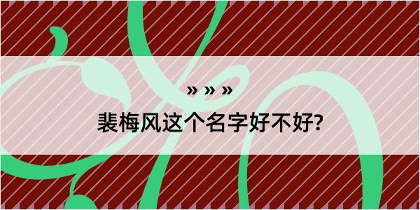 裴梅风这个名字好不好?