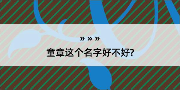 童章这个名字好不好?