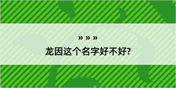 龙因这个名字好不好?