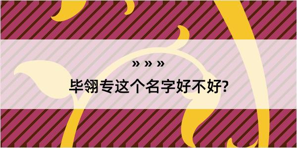 毕翎专这个名字好不好?