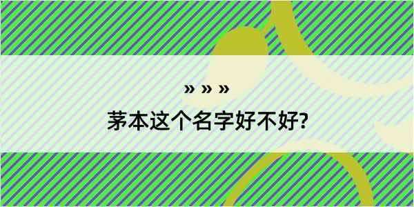 茅本这个名字好不好?