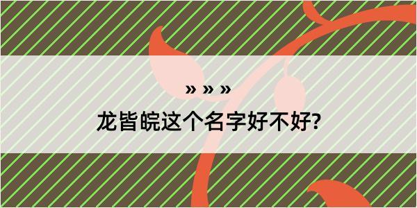 龙皆皖这个名字好不好?