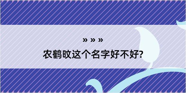 农鹤旼这个名字好不好?