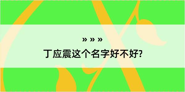 丁应震这个名字好不好?