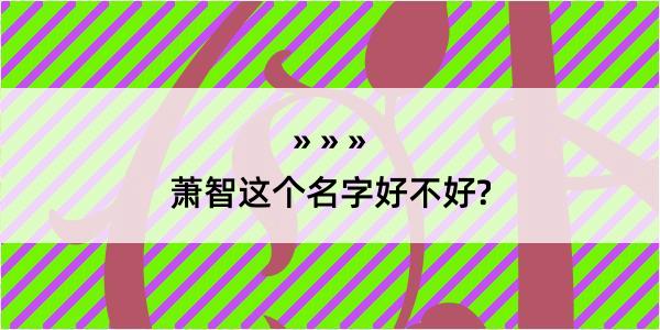 萧智这个名字好不好?