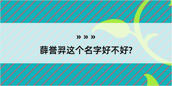 薛誉羿这个名字好不好?