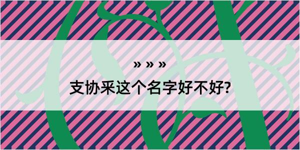 支协釆这个名字好不好?