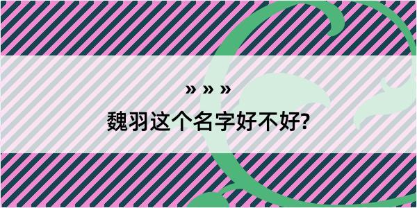 魏羽这个名字好不好?